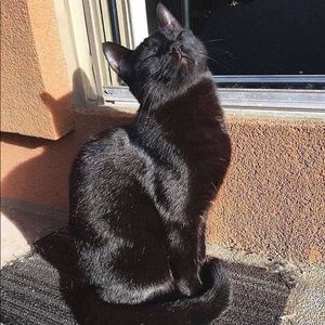 Meet your Posher, Shannon